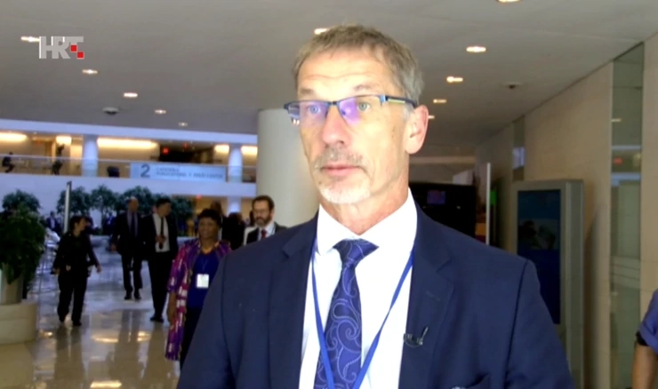 Boris Vujčić