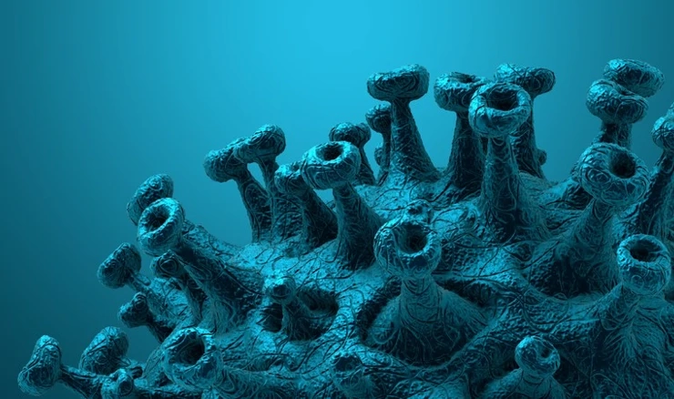 Koronavirus, ilustracija 