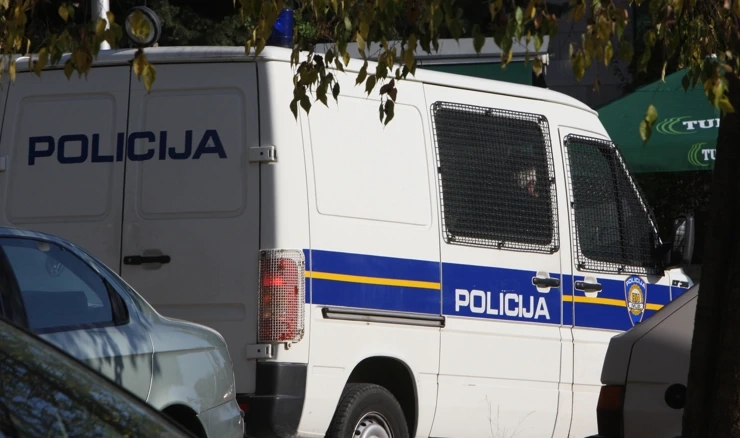 Policijska