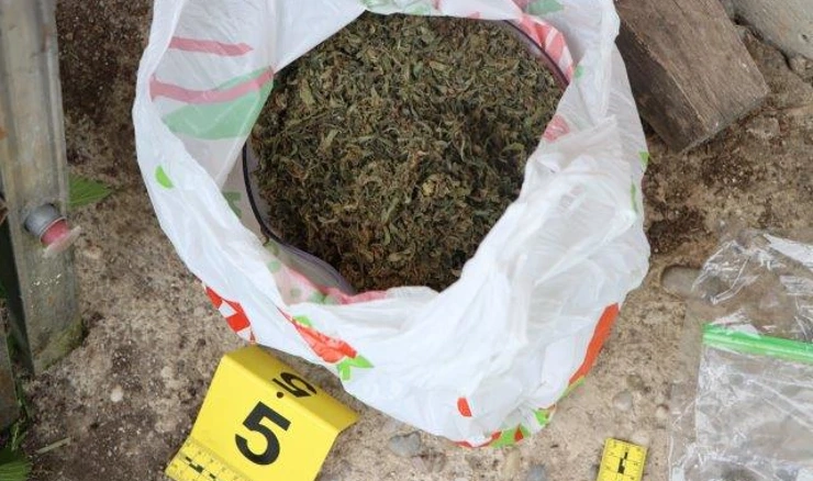 Zapljenjena droga