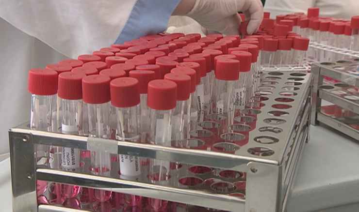 Posljednja dva dana broj novozaraženih koronavirusom u blagom porastu