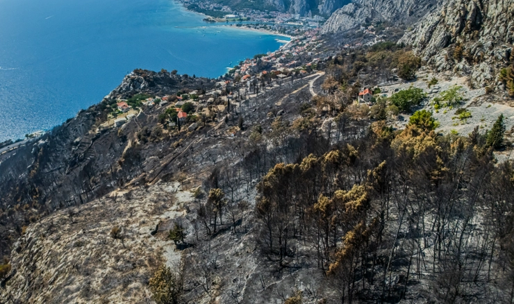 Posljedice požara na omiškom području 