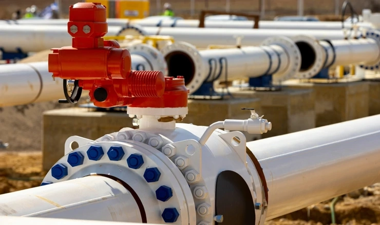 Plinska interkonekcija