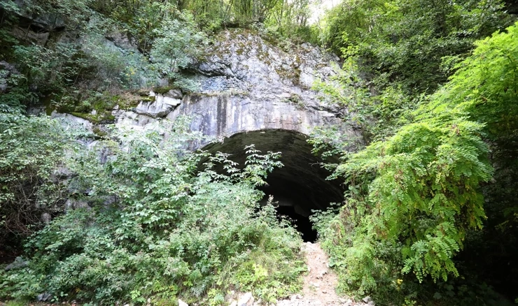 Počelo razminiravanje vojnog kompleksa "Željava"