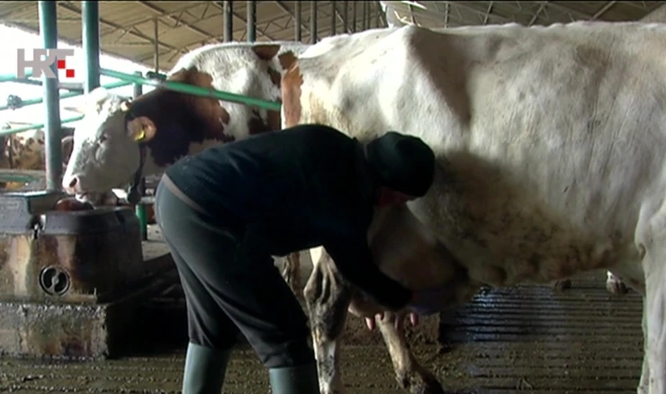 Farma obitelji Kruljac iz Vladislavaca