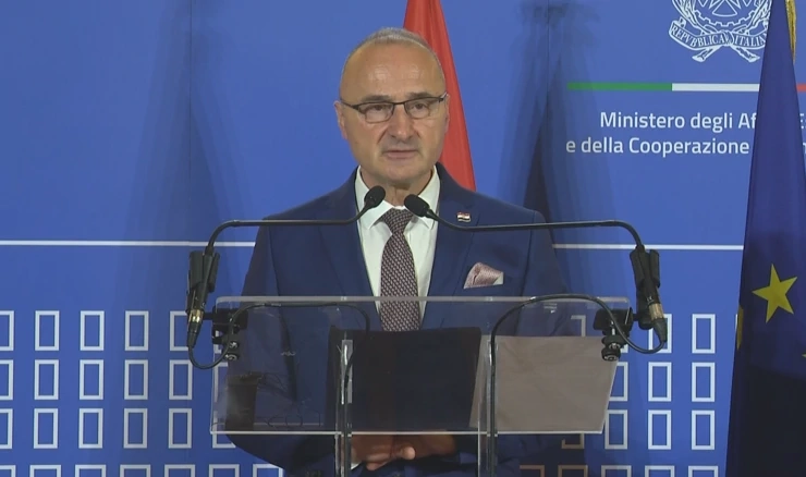 Gordan Grlić Radman