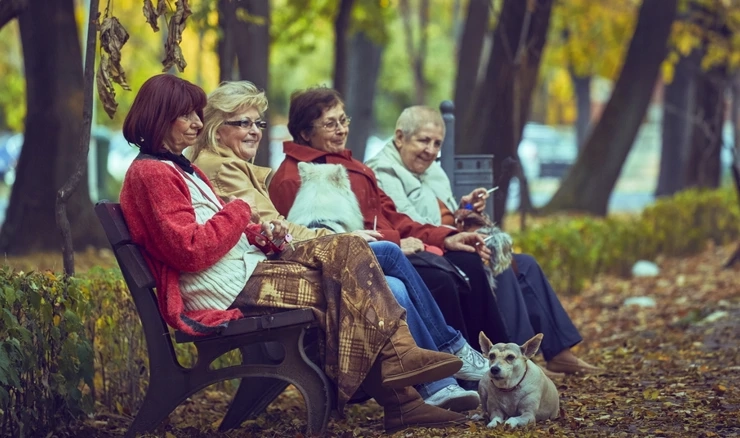 Sve je više starog stanovništva ilustracija