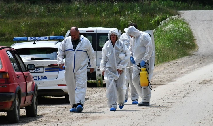 ASK se prvi puta u RH pojavila u selima uz Savu u lipnju 2023.