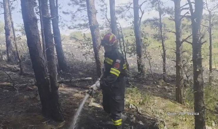 Lokaliziran požar između Plasa i Zlobina