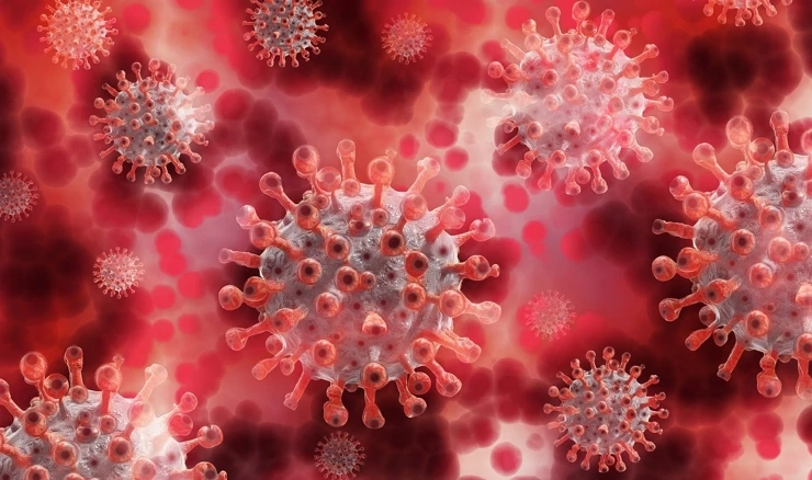Virus