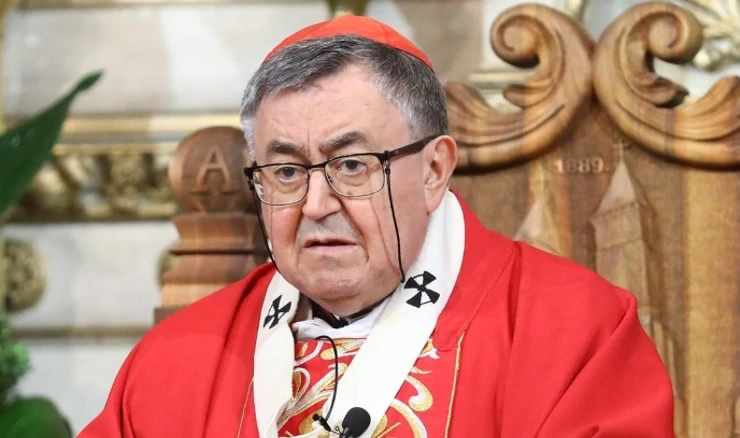 Kardinal Vinko Puljić