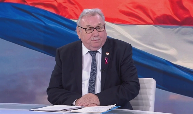 Vladimir Šeks