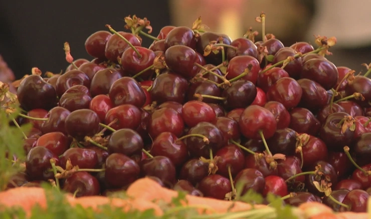 Cijene trešanja otišle u nebo 