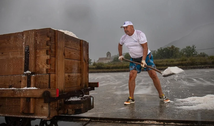 Branje soli u solani Ston