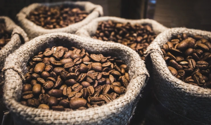 Brazil očekuje rekordan urod kave