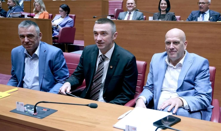 Zastupnici DP-a