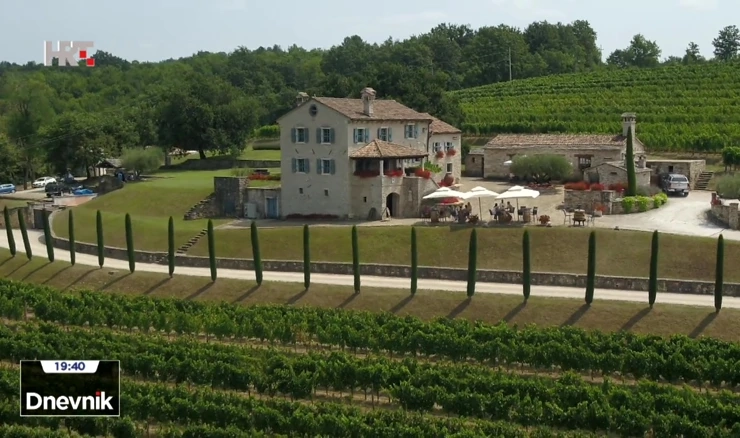 Vinograd momjanskog muškata  