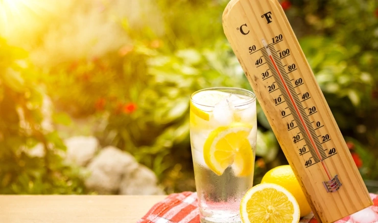 U Španjolskoj toplinski val, temperature iznad 44 stupnjeva u hladu