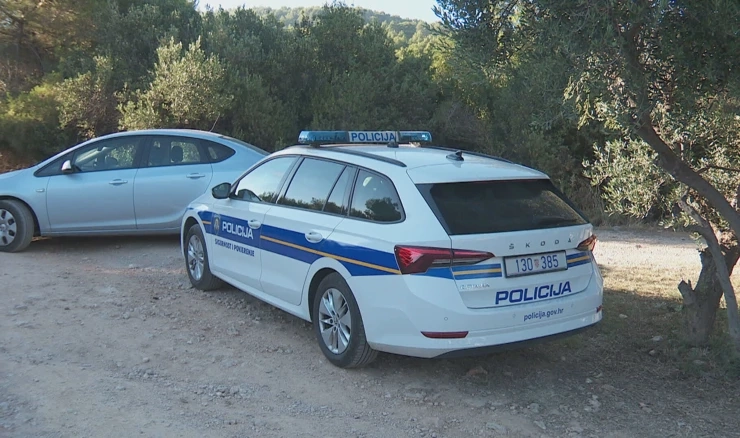 Policija