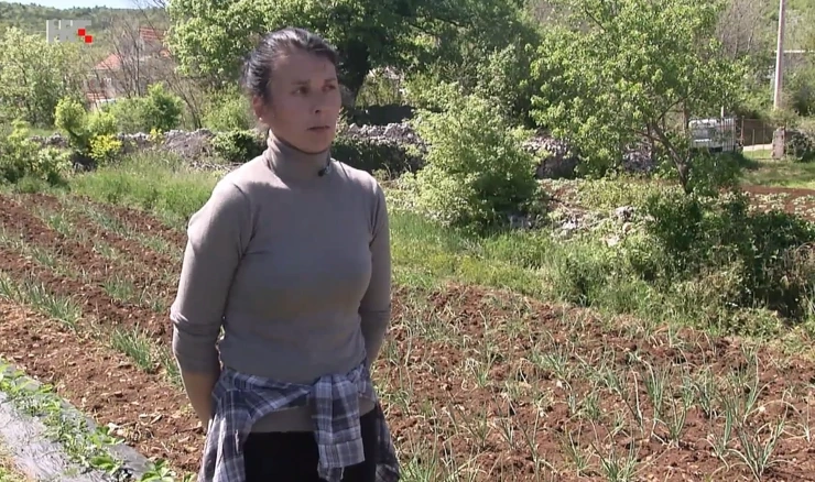 Problemi OPG-ovaca