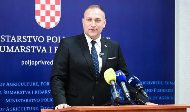 David Vlajčić