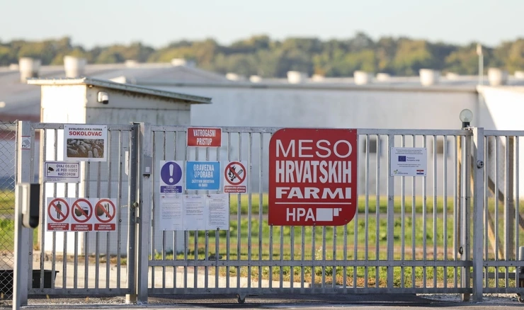 Eutanazija svinja na farmi Sokolovac