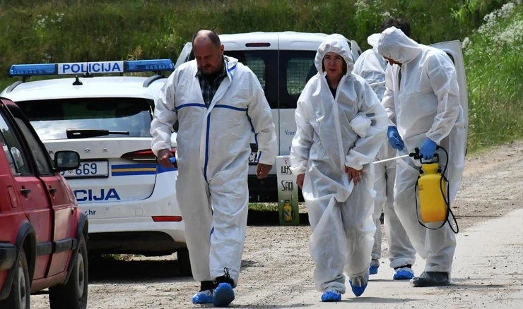 Mjere protiv afričke svinjske kuge