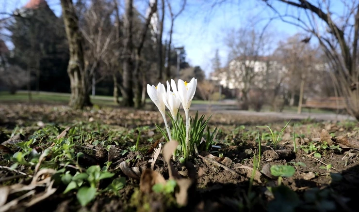 Zagreb