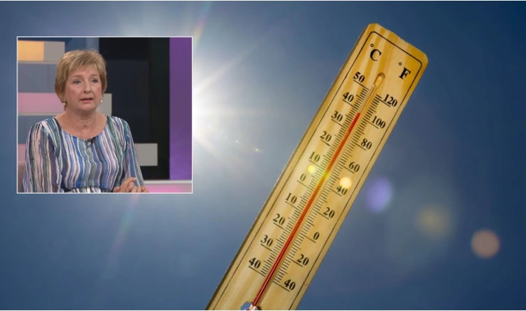 Branka Ivančan Picek 
