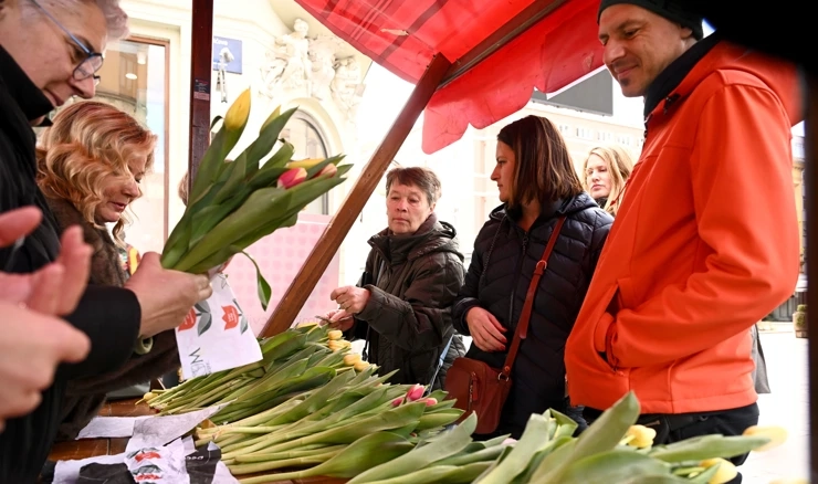  Humanitarna akcija Omiljeni cvijet Ane Rukavine