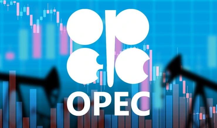 Organizacija zemalja-izvoznica nafte (OPEC)
