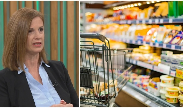 Vedrana Filipović-Grčić, pomoćnica glavnog državnog inspektora