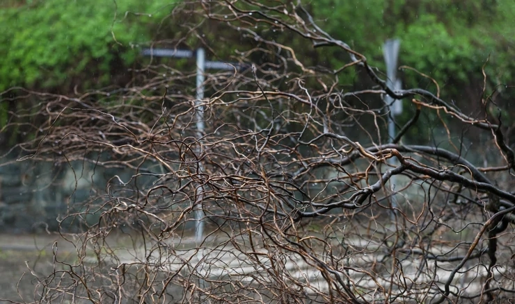 Osam intervencija u Karlovcu/Ilustracija