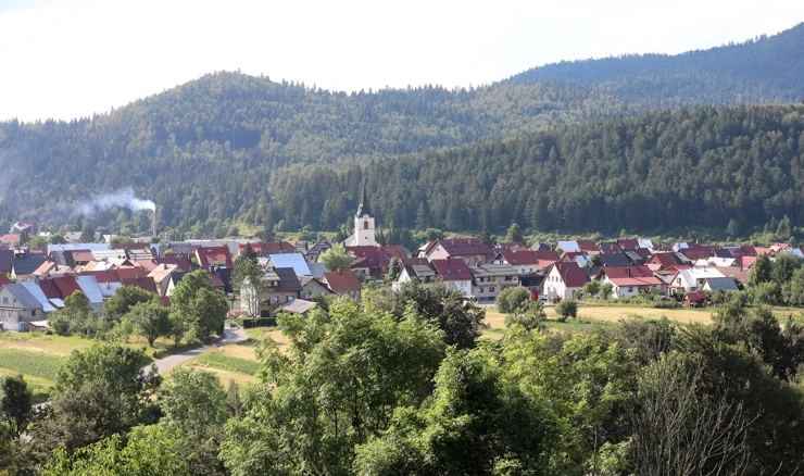 Panorama Delnica