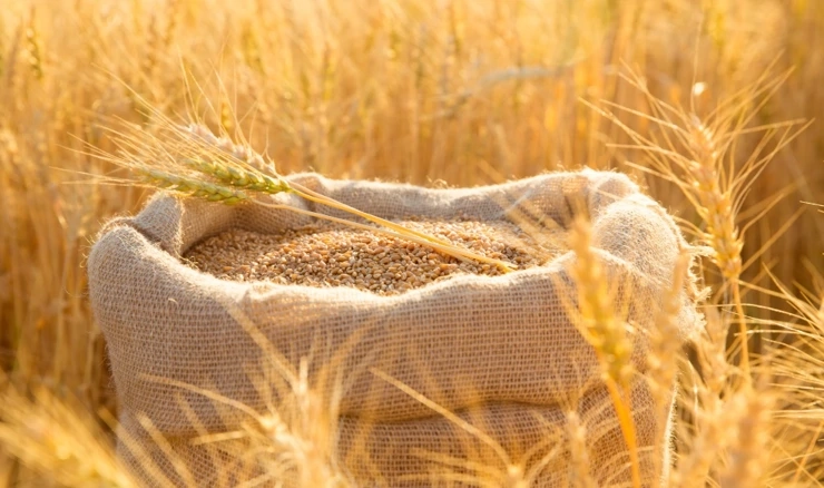 Dunavske zemlje traže veću sigurnost plovidbe i transporta ukrajinskih žitarica