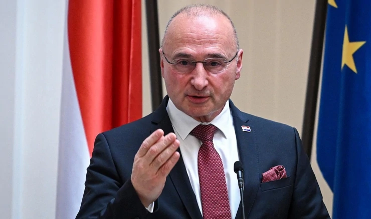 Gordan Grlić Radman