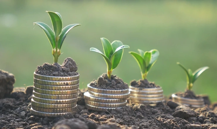 Greenfield investicija