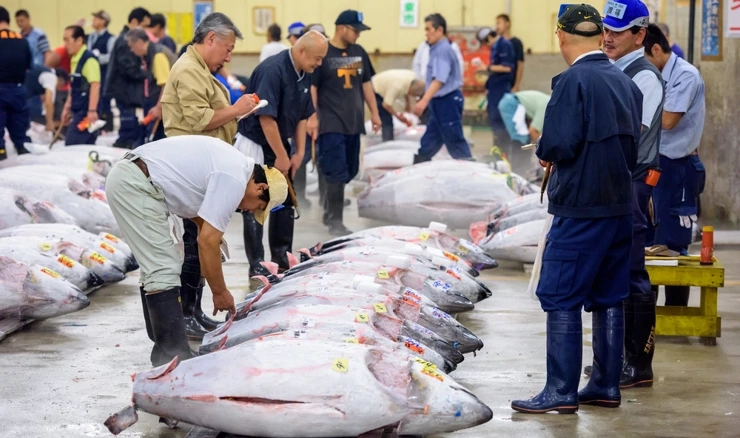 Aukcija tune u Tokiju