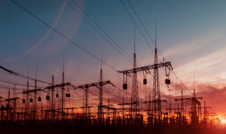 Elektroenergetska mreža