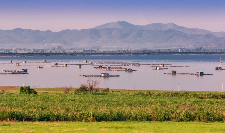 Predstavljeno 7 pravilnika iz područja poljoprivrede i ribarstva