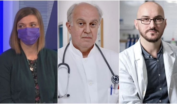 Vesna Višekruna Vučina, Ivo Ivić, Ilija Brizić
