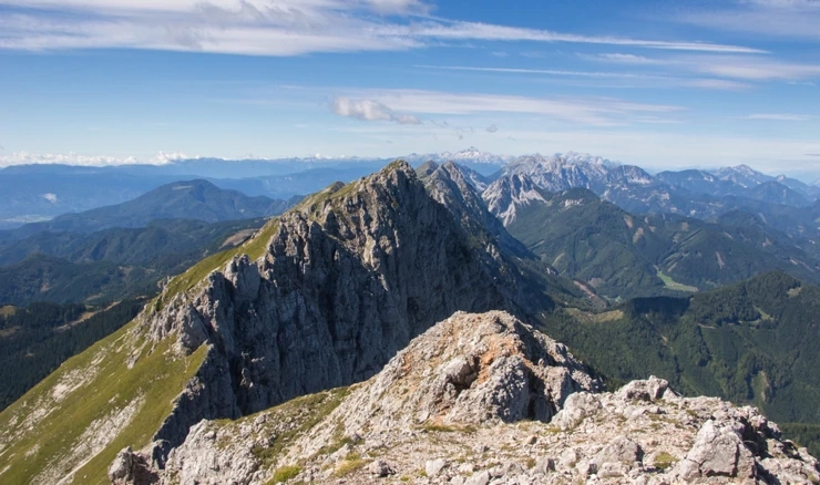 Košuta