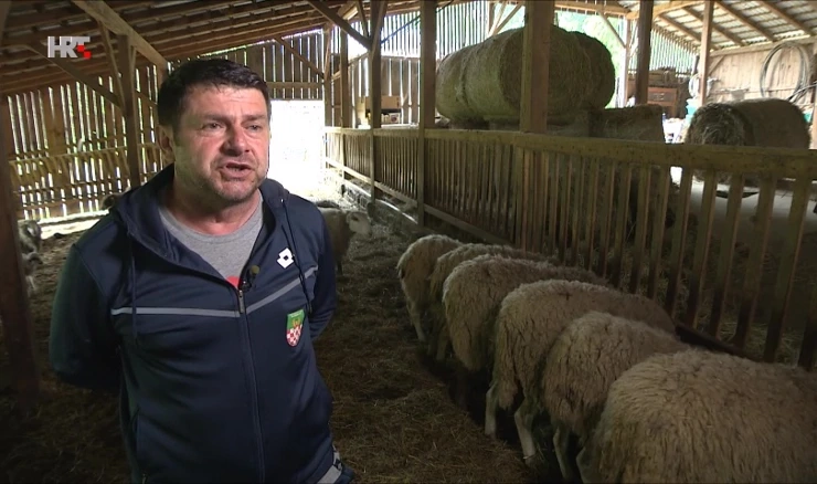 Željko Held, Velika Barna