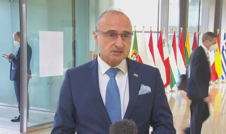 Gordan Grlić Radman