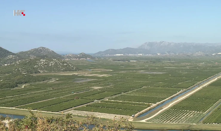 Pogled na plantaže neretvanskih mandarina