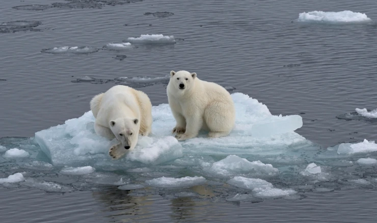 Globalno zagrijavanje