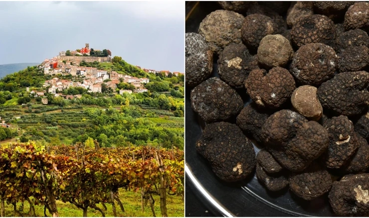 Tartufi ugroženi zbog klimatskih promjena