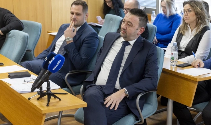 Gradsko vijeće Grada Vukovara