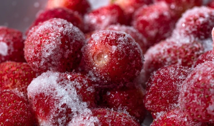 Smrznute jagode