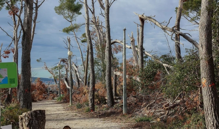 Park šuma Marjan nakon oluje